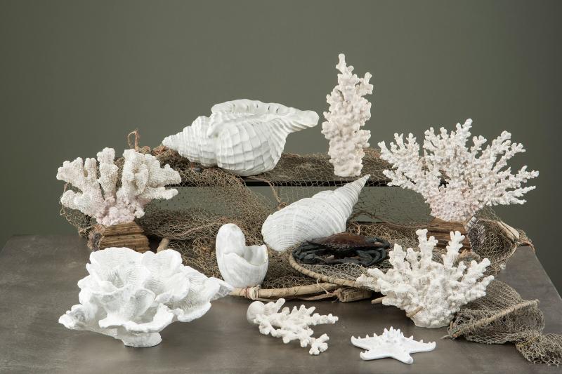 A Lot Dekoration - Dekorasjon Korall Poly Hvit 26x6x18,5cm , hemmetshjarta.no