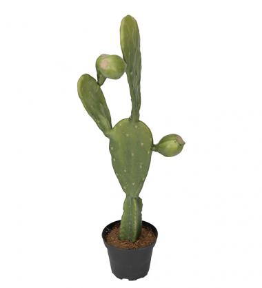 Kunstig Kaktus 44 cm , hemmetshjarta.no