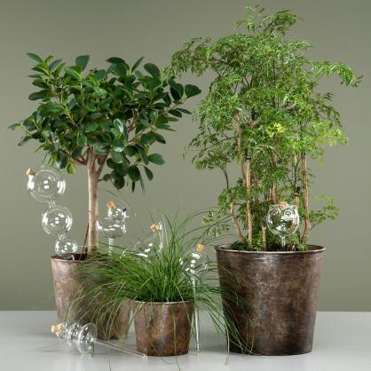 A Lot Dekoration - Bevanningsglass planter And 9x25cm , hemmetshjarta.no