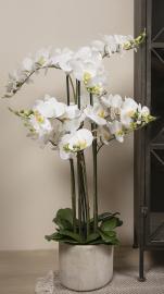 Kunstig orkide, hvit, 9-grenet H105 cm, i grå keramikkrukke , hemmetshjarta.no