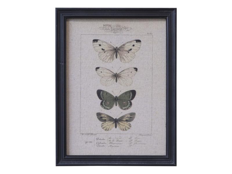Chic Antique Bilde sommerfuglemotiv og svart ramme H43 / L33 cm , hemmetshjarta.no