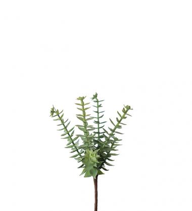 Mr Plant - Kunstig Sukkulent 18 cm , hemmetshjarta.no