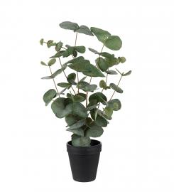 Kunstig Eukalyptusplante 55 cm , hemmetshjarta.no