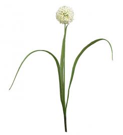 Kunstig Allium 40 cm , hemmetshjarta.no