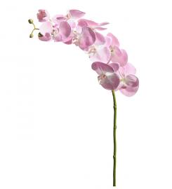 Kunstig Orkidéstilk Phalaenopsis 75 cm , hemmetshjarta.no