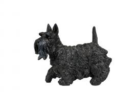 A Lot Dekoration - Dekorasjon Dog Scottish Terrier Poly 13x12,5cm , hemmetshjarta.no
