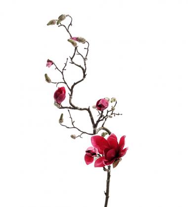 Kunstig Magnolia Kvist. 135 cm , hemmetshjarta.no