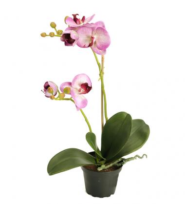 Kunstig Phalaenopsis 45 cm , hemmetshjarta.no