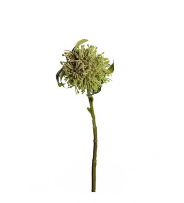 Kunstig Allium 40 cm Grnn , hemmetshjarta.no