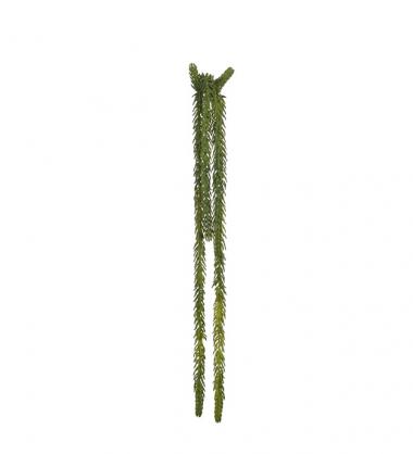 Mr Plant - Kunstig Succulent 50 cm , hemmetshjarta.no