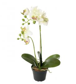 Kunstig Phalaenopsis 45 cm , hemmetshjarta.no