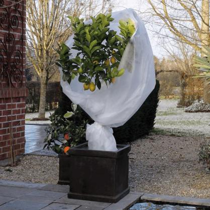 Hage Frostbeskyttelse for planter fleece 30 g/m hvit 2x10 m , hemmetshjarta.no