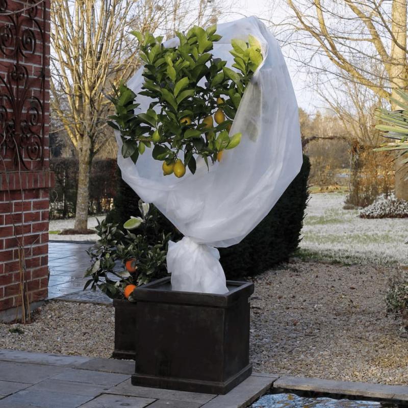 Hage Frostbeskyttelse for planter fleece 30 g/m hvit 2x10 m , hemmetshjarta.no