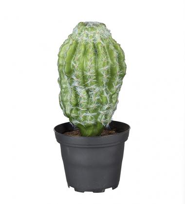 Kunstig Kaktus 18 cm , hemmetshjarta.no