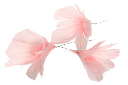 A Lot Dekoration - Dekorasjon Fjrbukett til ris 12-pack - lys rosa , hemmetshjarta.no