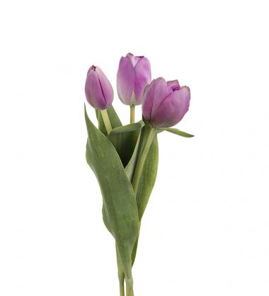 Kunstig Tulipan mix 36 cm , hemmetshjarta.no