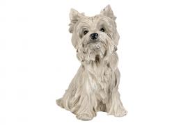 A Lot Dekoration - Dekorasjon Hund Malteser Poly 19x25cm , hemmetshjarta.no
