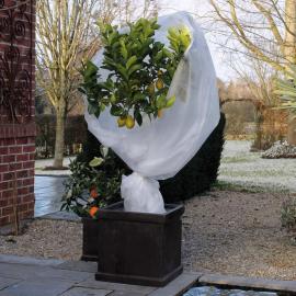 Hage Frostbeskyttelse for planter fleece 30 g/m² hvit 1x10 m , hemmetshjarta.no