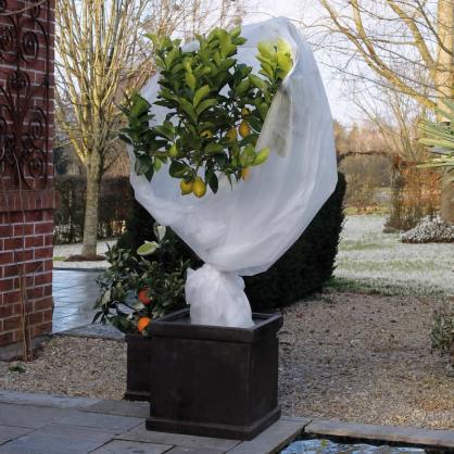 Hage Frostbeskyttelse for planter fleece 30 g/m hvit 1x10 m , hemmetshjarta.no