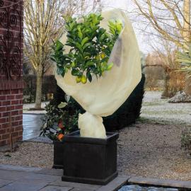 Hage Frostbeskyttelse for planter fleece 60 g/m² beige 2x5 m , hemmetshjarta.no