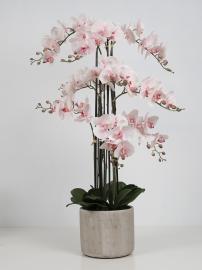 Kunstig orkidé, 9-grenet, rosa H105 cm, i grå keramikkrukke , hemmetshjarta.no