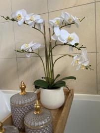 Kunstig orkide, hvit, 5-gren H52 cm, i hvit potte , hemmetshjarta.no