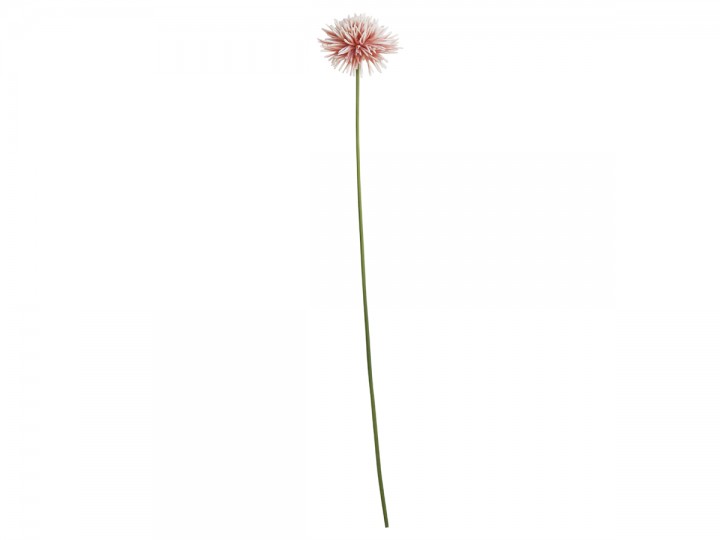 Chic Antique - Fleur Dahlia H67 cm rosa , hemmetshjarta.no