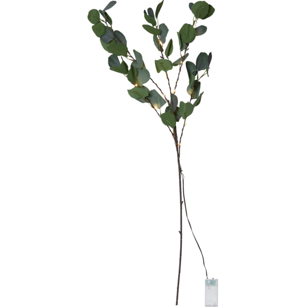 Batteridrevet kvist Eucalyptus 90 cm , hemmetshjarta.no