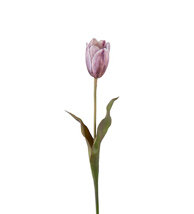 Kunstig Tulipan 58 cm , hemmetshjarta.no