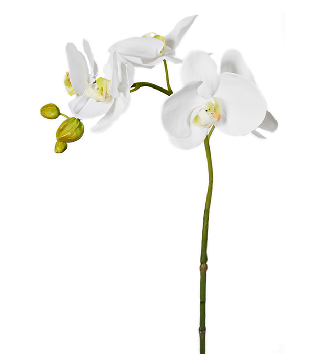 Kunstig Orkidstilk Phalaenopsis 65 cm , hemmetshjarta.no