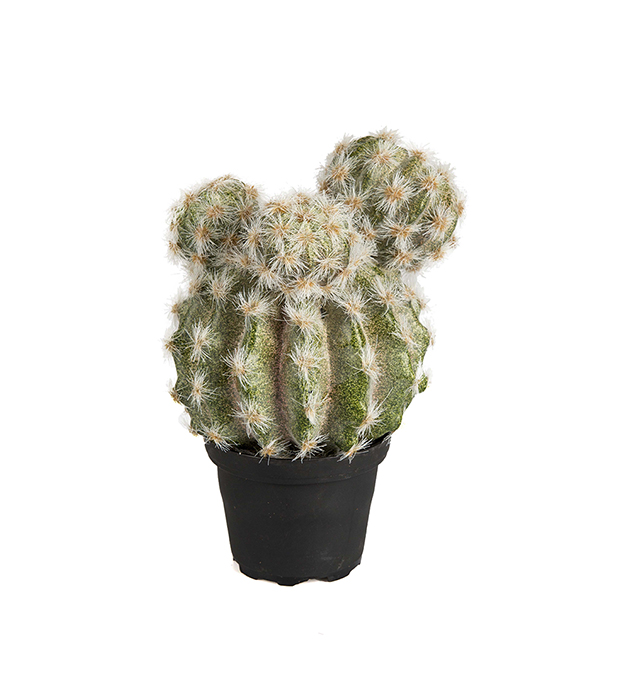 Kunstig Kaktus 20 cm , hemmetshjarta.no