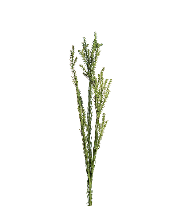 Mr Plant - Kunstig Kvist 55 cm , hemmetshjarta.no