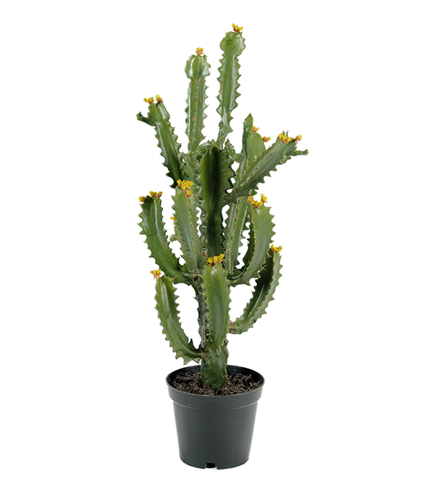 Kunstig Kaktus 70 cm , hemmetshjarta.no