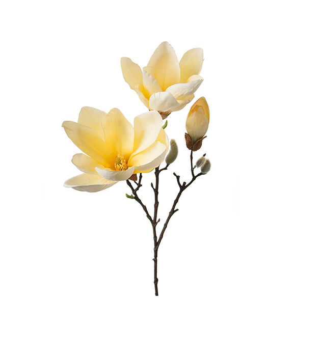 Kunstig Magnolia Kvist 65 cm , hemmetshjarta.no