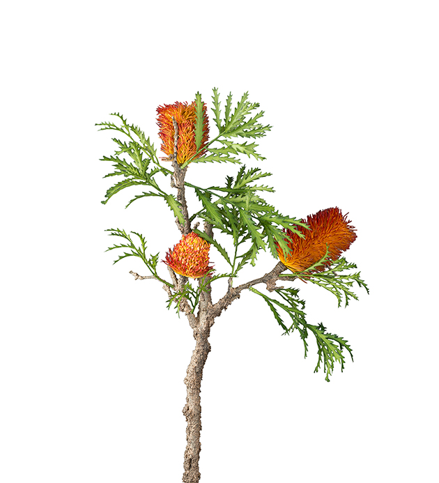 Kunstig Banksia 85 cm , hemmetshjarta.no