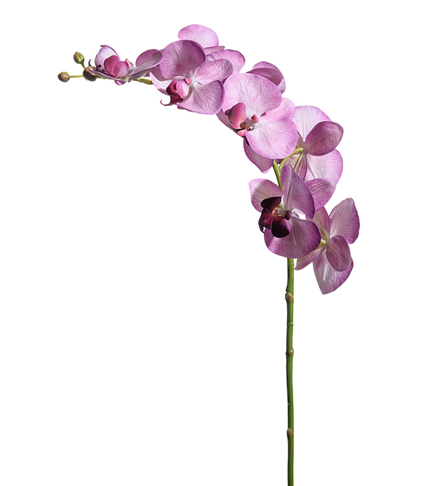 Kunstig Orkidstilk Phalaenopsis 75 cm , hemmetshjarta.no