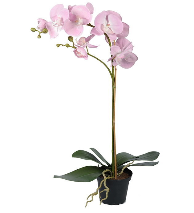 Kunstig Phalaenopsis 60 cm , hemmetshjarta.no