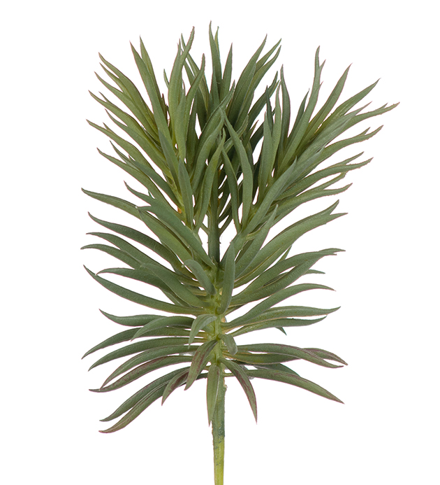 Mr Plant - Kunstig Sukkulent 24 cm , hemmetshjarta.no