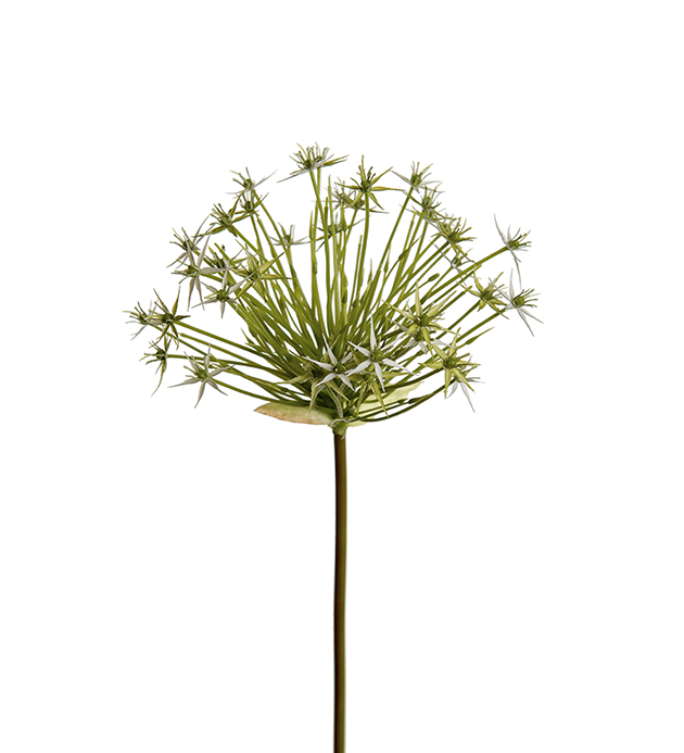 Kunstig Allium 90 cm , hemmetshjarta.no