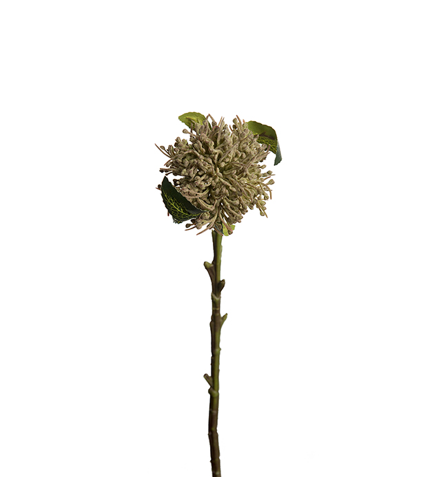 Kunstig Allium 40 cm Brun , hemmetshjarta.no