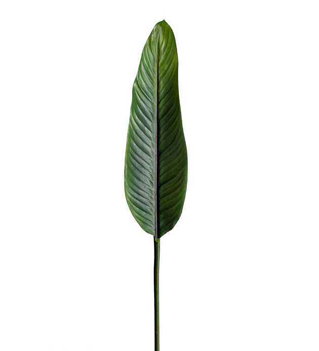 Mr Plant - Kunstig Strelitzia blad 80 cm , hemmetshjarta.no