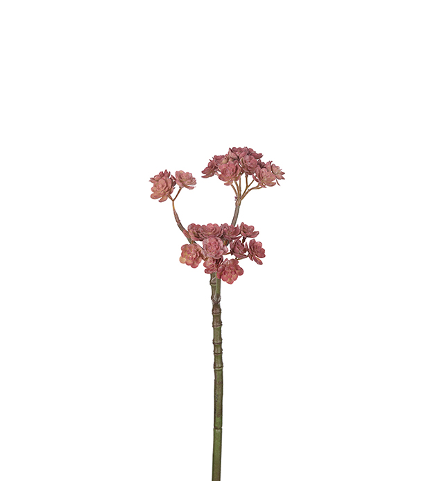 Mr Plant - Kunstig Echeveria 50 cm , hemmetshjarta.no