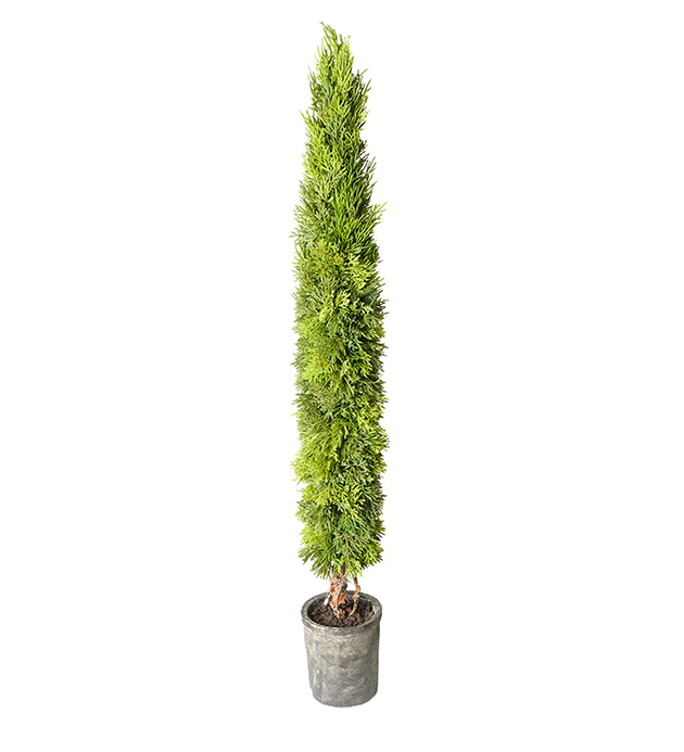 Kunstig Cypress 80 cm , hemmetshjarta.no